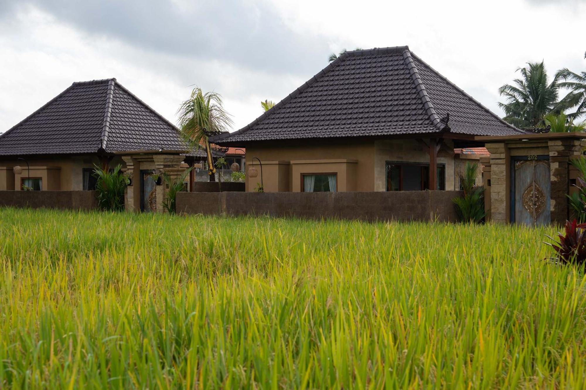 Sawah Sebatu Villa Ubud Kültér fotó