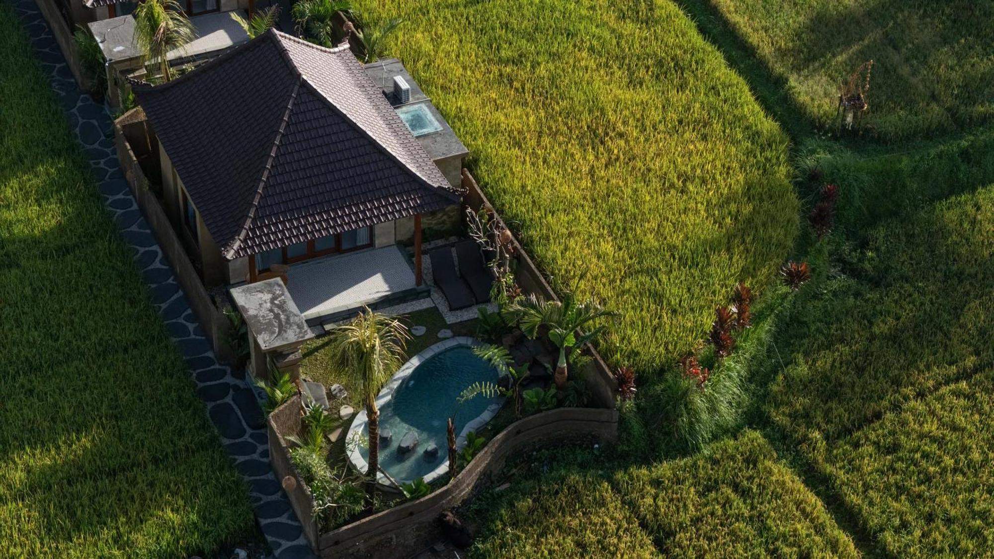 Sawah Sebatu Villa Ubud Kültér fotó