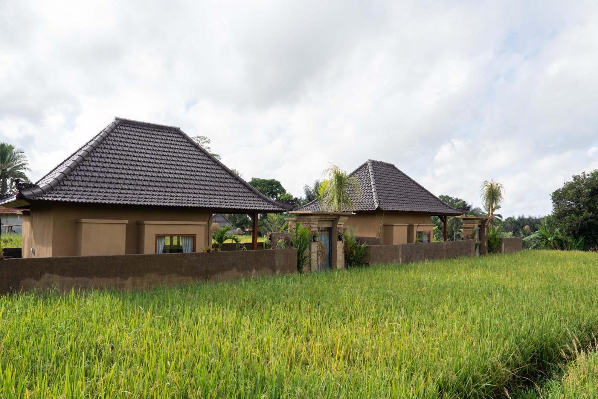 Sawah Sebatu Villa Ubud Kültér fotó