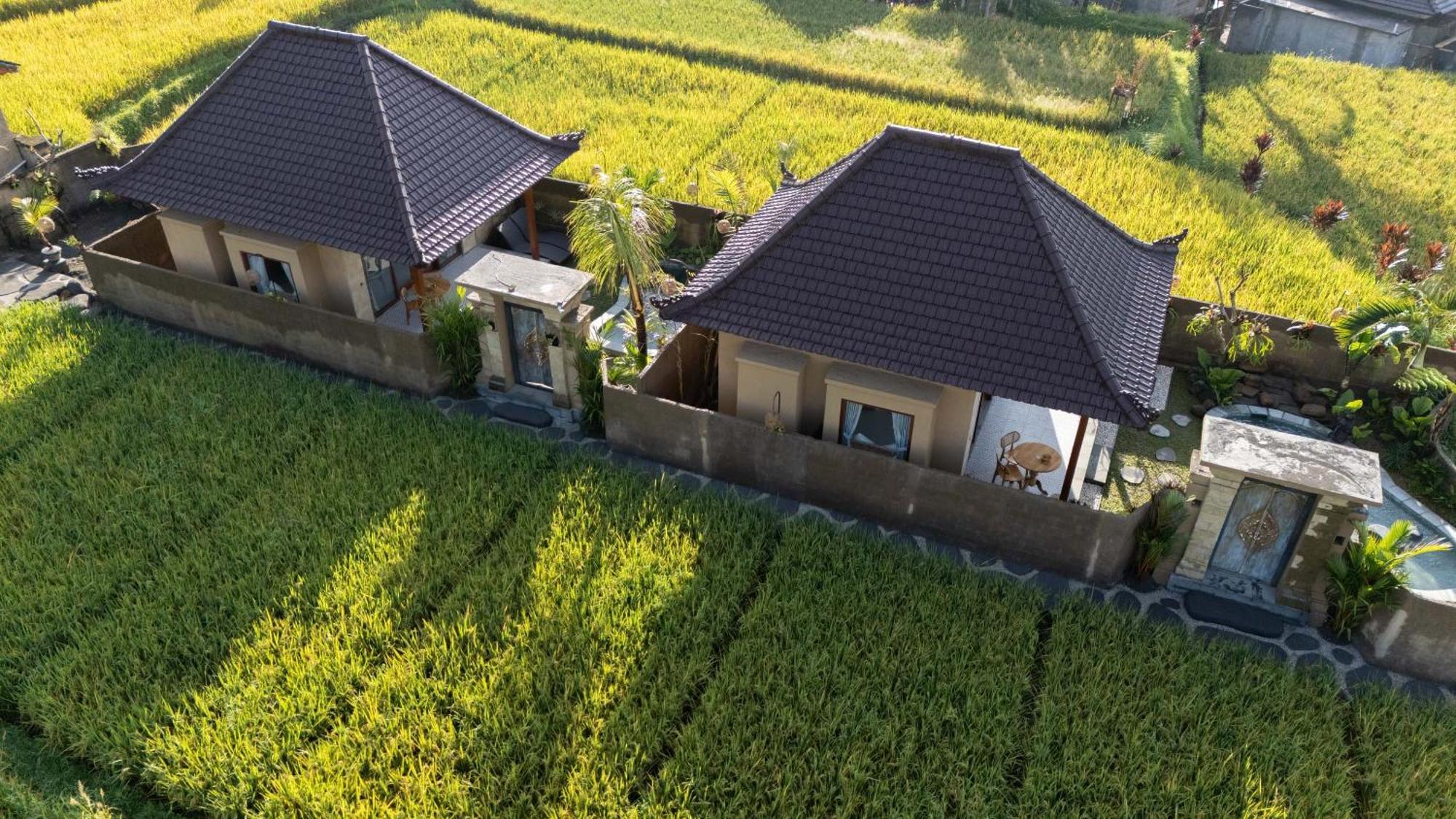 Sawah Sebatu Villa Ubud Kültér fotó