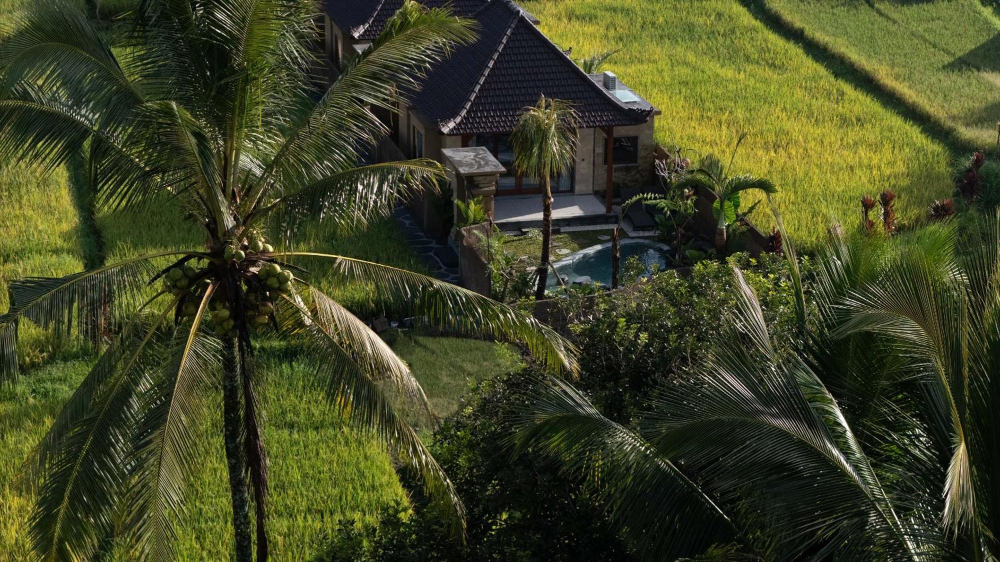 Sawah Sebatu Villa Ubud Kültér fotó