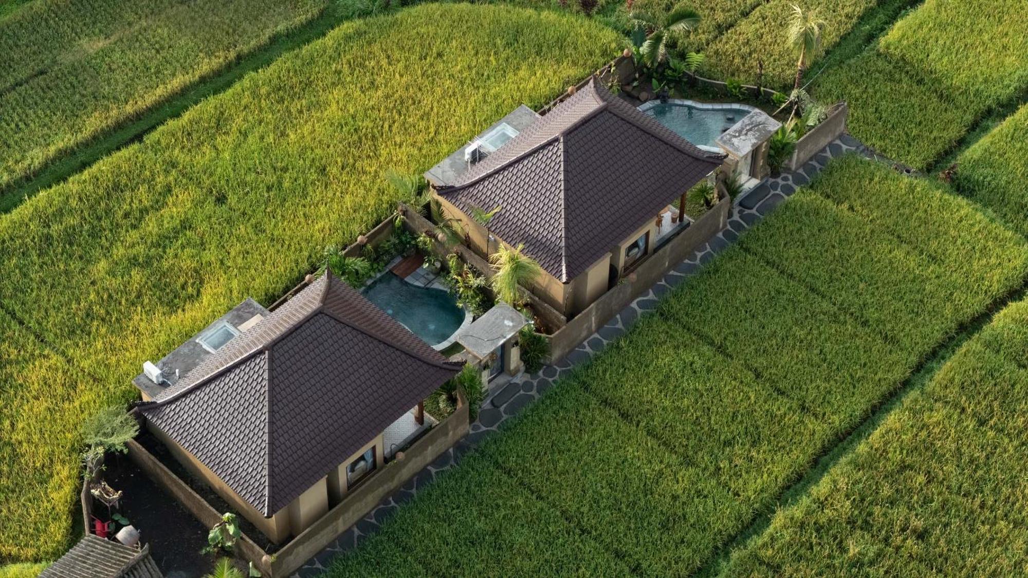 Sawah Sebatu Villa Ubud Kültér fotó